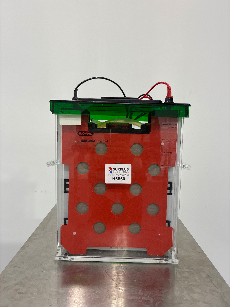 Image of BioRad Trans-Blot Plus Cell